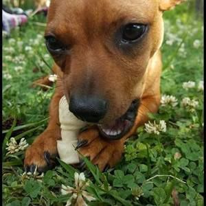 Meet your Posher, Braden